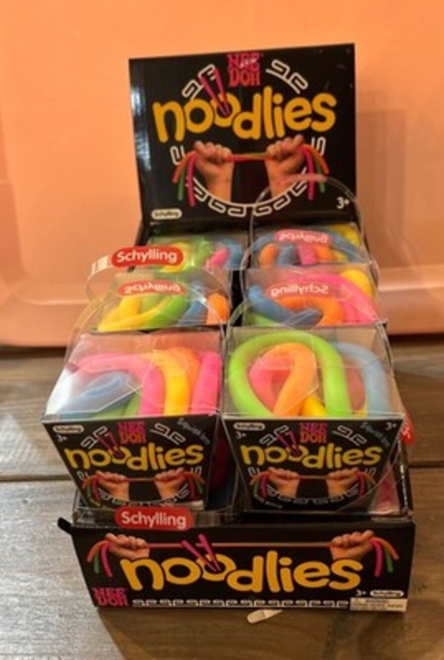 NeeDoh Noodlies VIRAL Squishy Nee Doh Fidget 5 Stretchy Noodles 14" box of 12